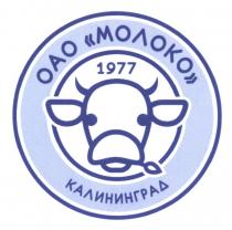 МОЛОКО КАЛИНИНГРАД 19771977