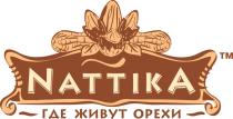 NATTIKA ГДЕ ЖИВУТ ОРЕХИОРЕХИ