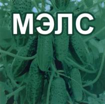 МЭЛС