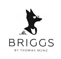 MR. BRIGGS BY THOMAS MUNZ BRIGGS MUNZ