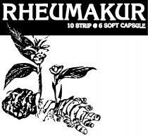 RHEUMAKUR 10 STRIP 6 SOFT CAPSULE