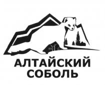 АЛТАЙСКИЙ СОБОЛЬСОБОЛЬ