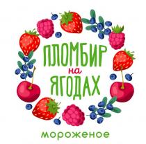 ПЛОМБИР НА ЯГОДАХ МОРОЖЕНОЕМОРОЖЕНОЕ