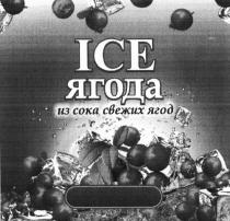 ICE ЯГОДА ИЗ СОКА СВЕЖИХ ЯГОД ICEBERRYICEBERRY