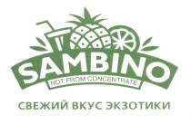 SAMBINO NOT FROM CONCENTRATE СВЕЖИЙ ВКУС ЭКЗОТИКИ SAMBINO