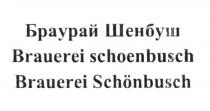 БРАУРАЙ ШЕНБУШ BRAUEREI SCHOENBUSCH BRAUEREI SCHONBUSCHSCHONBUSCH