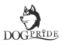 DOGPRIDE DOG PRIDEPRIDE