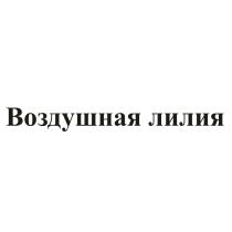 ВОЗДУШНАЯ ЛИЛИЯЛИЛИЯ