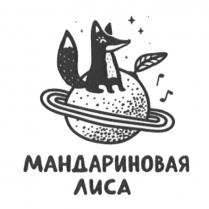 МАНДАРИНОВАЯ ЛИСАЛИСА