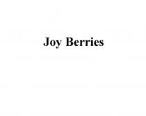 JOY BERRIESBERRIES