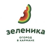 ЗЕЛЕНИКА ОГОРОД В КАРМАНЕ ЗЕЛЕНИКА