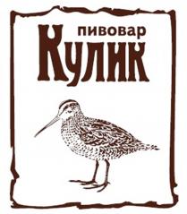 КУЛИК ПИВОВАР КУЛИК