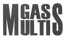 MULTIGASS MULTI GASS GAS MULTIS MGASS MGASMGAS