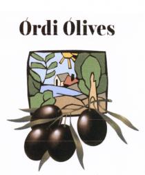 ORDI OLIVES ORDI