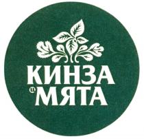 КИНЗА И МЯТАМЯТА