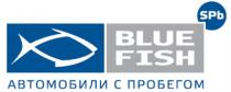 BLUE FISH АВТОМОБИЛИ С ПРОБЕГОМ SPB BLUEFISHBLUEFISH