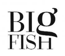 BIG FISHFISH