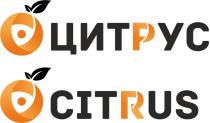 ЦИТРУС CITRUS ЦИТ РУС CIT RUS ЦИТУС CITUSCITUS