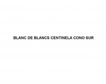 BLANC DE BLANCS CENTINELA CONO SUR CENTINELA BLANCS