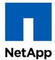 NETAPP NET APP APAP