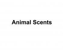 ANIMAL SCENTSSCENTS