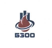 БЗОО Б300