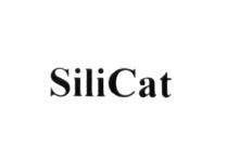 SILICAT SILICAT SILI SILI CATCAT