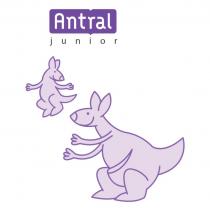 ANTRAL JUNIOR ANTRAL