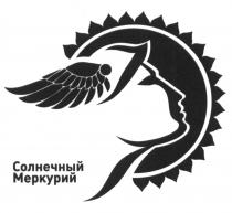 СОЛНЕЧНЫЙ МЕРКУРИЙ