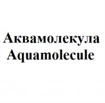 АКВАМОЛЕКУЛА AQUAMOLECULE АКВА МОЛЕКУЛА AQUA MOLECULEMOLECULE