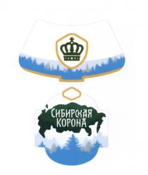 СИБИРСКАЯ КОРОНАКОРОНА