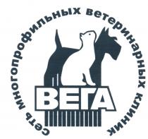 ВЕГА СЕТЬ МНОГОПРОФИЛЬНЫХ ВЕТЕРИНАРНЫХ КЛИНИК ВЕГА