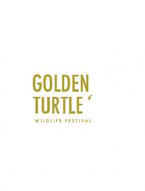 GOLDEN TURTLE WILDLIFE FESTIVAL TURTLETURTLE'