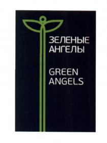 ЗЕЛЕНЫЕ АНГЕЛЫ GREEN ANGELS ЗЕЛЁНЫЕЗЕЛEНЫЕ