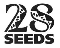 28 SEEDS 28SEEDS28SEEDS