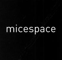 MICESPACE MICE SPACESPACE