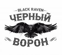 BLACK RAVEN ЧЕРНЫЙ ВОРОН ЧЁРНЫЙЧEРНЫЙ