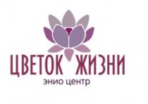 ЦВЕТОК ЖИЗНИ ЭНИО ЦЕНТР ЭНИО