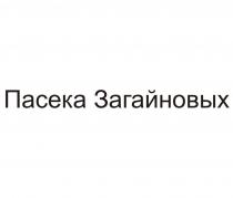 ПАСЕКА ЗАГАЙНОВЫХ ЗАГАЙНОВЫХ ЗАГАЙНОВ ЗАГАЙНОВ