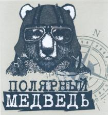 ПОЛЯРНЫЙ МЕДВЕДЬМЕДВЕДЬ