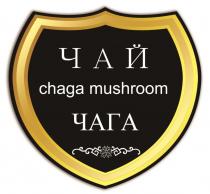 ЧАЙ CHAGA MUSHROOM ЧАГА CHAGA ЧАГА