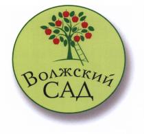 ВОЛЖСКИЙ САД ВОЛГАВОЛГА