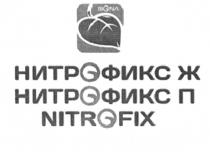 BIONA НИТРОФИКС Ж НИТРОФИКС П NITROFIX BIONA NITROFIX NITRFIX OFIX НИТРОФИКС ФИКС НИТРФИКС ОФИКС НИТРОФИКСЖ НИТРОФИКСП НИТРФИКС НИТРО ФИКС ОФИКС NITRFIX NITR НИТР NITRO FIX OFIX НИТРОФИКСЖ НИТРОФИКСП BIOBIO