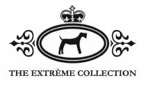 THE EXTREME COLLECTIONCOLLECTION