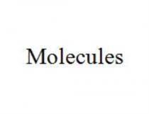 MOLECULES MOLECULEMOLECULE