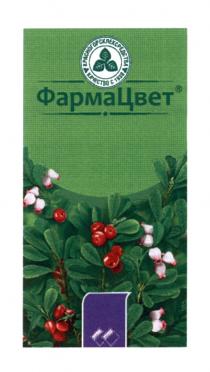 ФАРМАЦВЕТ КРАСНОГОРСКЛЕКСРЕДСТВА КАЧЕСТВО С 1938 ФАРМАЦВЕТ КРАСНОГОРСКЛЕКСРЕДСТВА ФАРМА ЦВЕТ КРАСНОГОРСК ЛЕКСРЕДСТВАЛЕКСРЕДСТВА