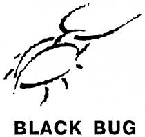 BLACK BUG