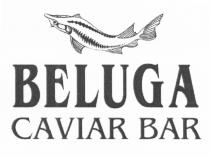 BELUGA CAVIAR BAR BELUGA