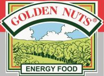 GOLDEN NUTS ENERGY FOOD ENERGYFOOD ENERGYFOOD