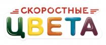 СКОРОСТНЫЕ ЦВЕТАЦВЕТА